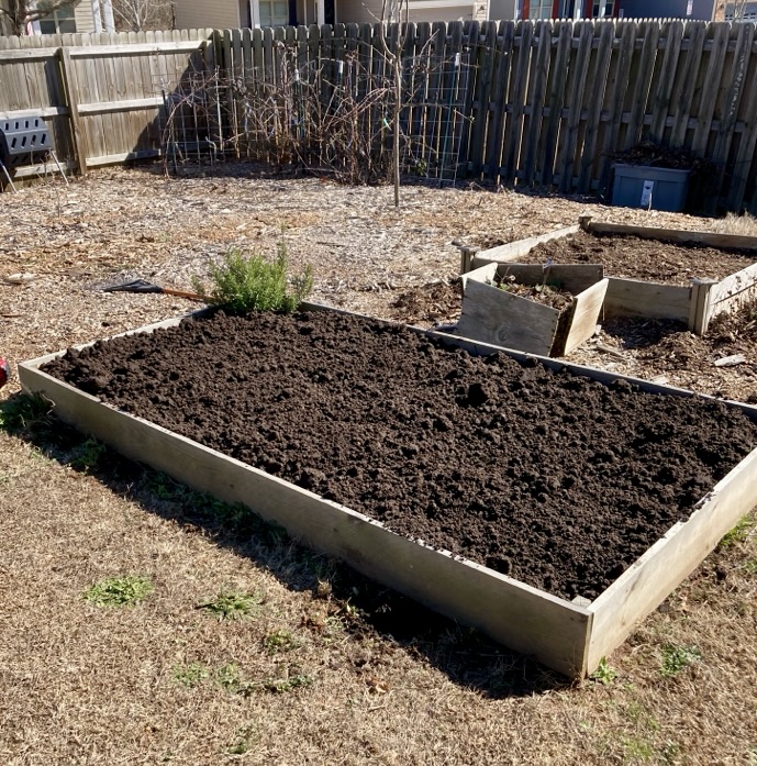 garden covered in wood chips with raised garden beds