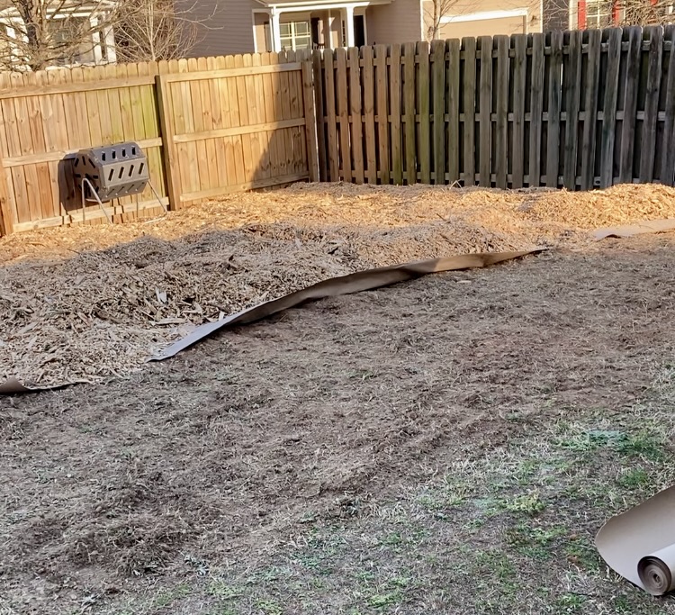 empty backyard with wood chips