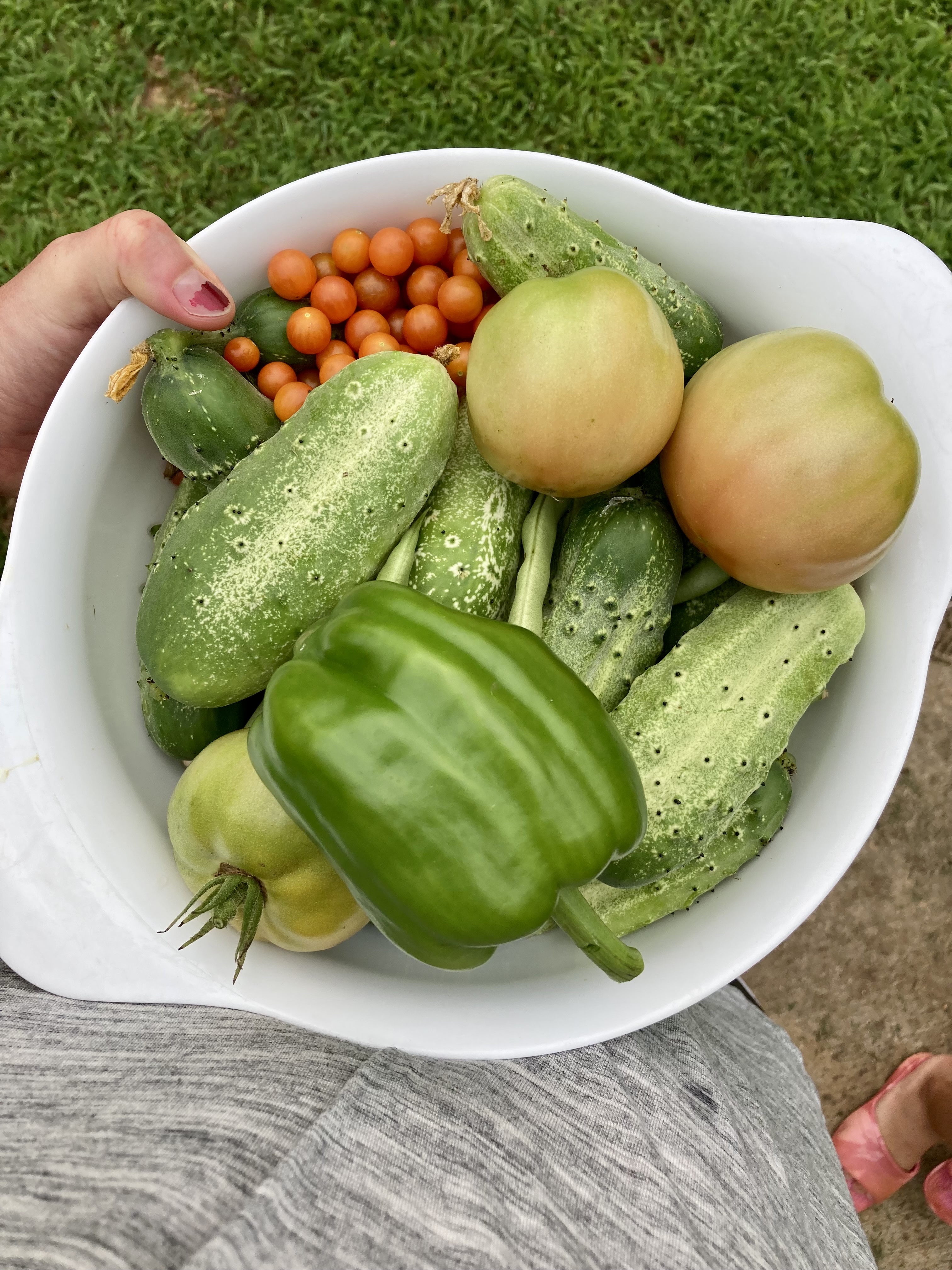 colander filled with freshly picked vegetables