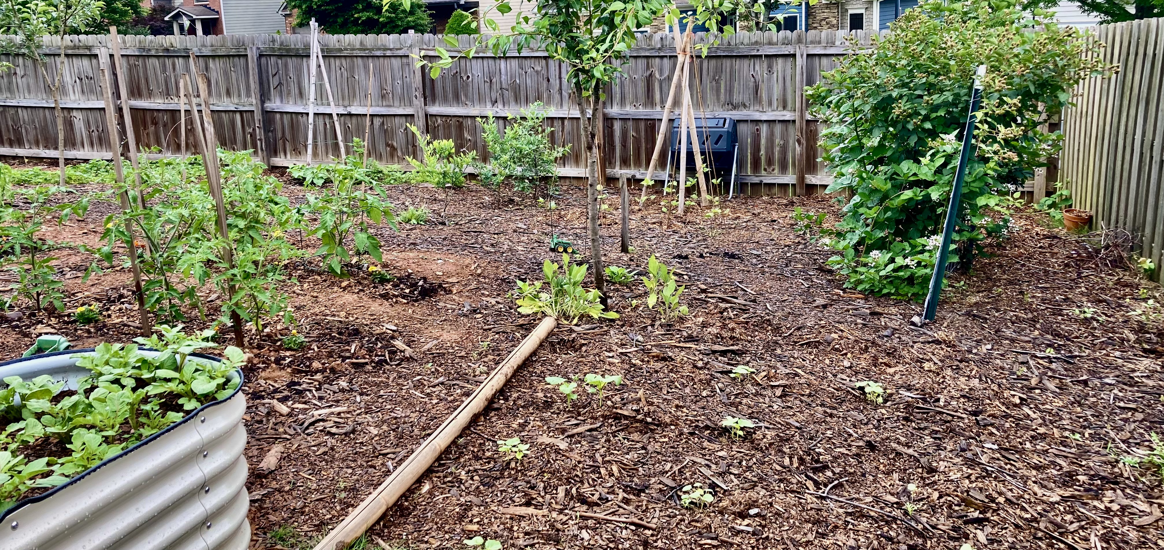 3 Pros, 2 Cons of Using Wood Chips in the Garden